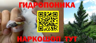 крисы Волгодонск