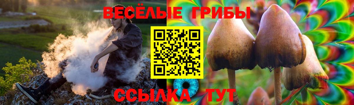 Галлюциногенные грибы Cubensis Орехово-Зуево