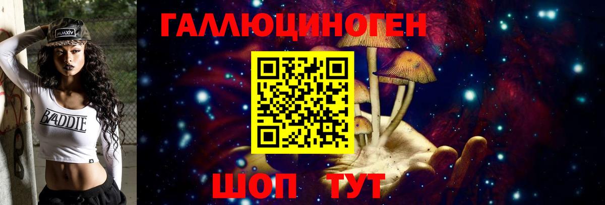Галлюциногенные грибы Cubensis  наркота  Орехово-Зуево  Вход с VPN 